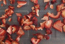Gedörrte Erdbeeren